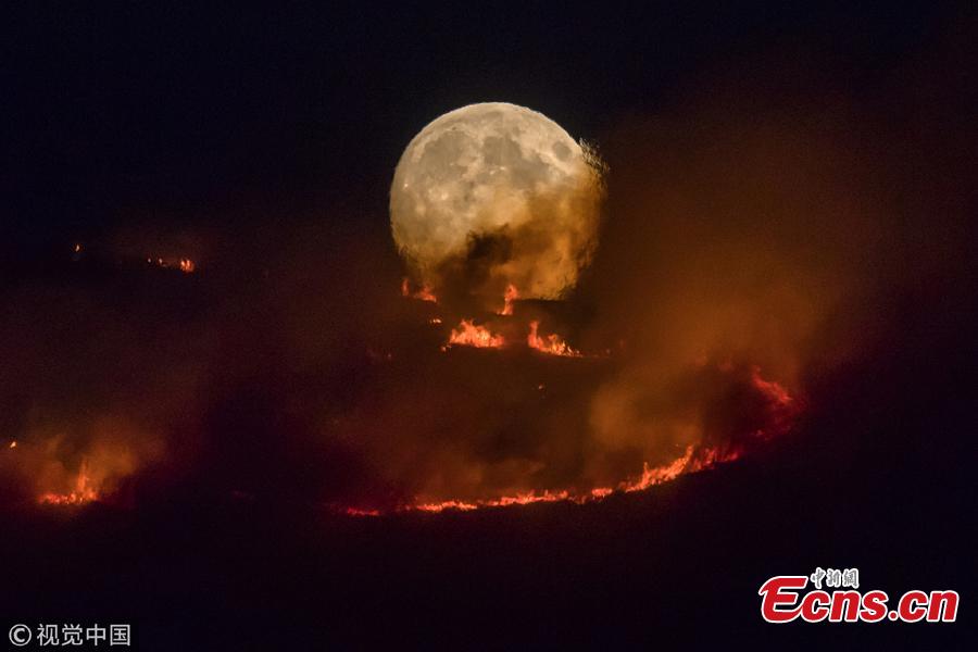 <?php echo strip_tags(addslashes(The full moon rises behind burning moorland as a large wildfire sweeps across the moors between Dovestones and Buckton Vale in Stalybridge, Greater Manchester in Stalybridge, England, June 26, 2018.  (Photo/VCG))) ?>
