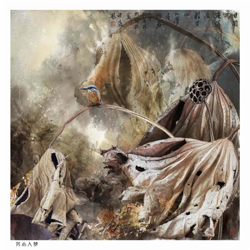 A creative lotus photograph by Chen Yixiong. (Photo provided by cpanet.org.cn)