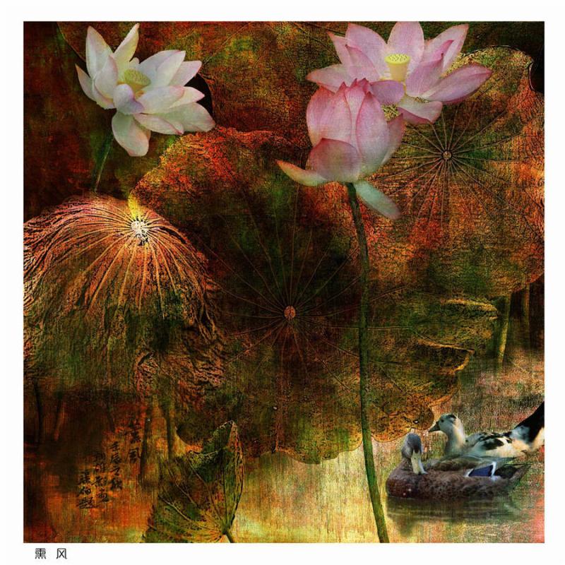 A creative lotus photograph by Chen Yixiong. (Photo provided by cpanet.org.cn)