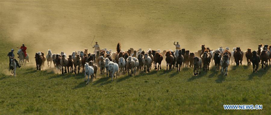 Herdsmen drive horses on a grassland in Hexigten Qi of Chifeng City, north China\'s Inner Mongolia Autonomous Region, June 29, 2018. (Xinhua/Yu Dongsheng)