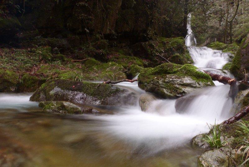 A file photo of Fanjing Moutain in Guizhou. (Photo provided by Zhou Wenqing)