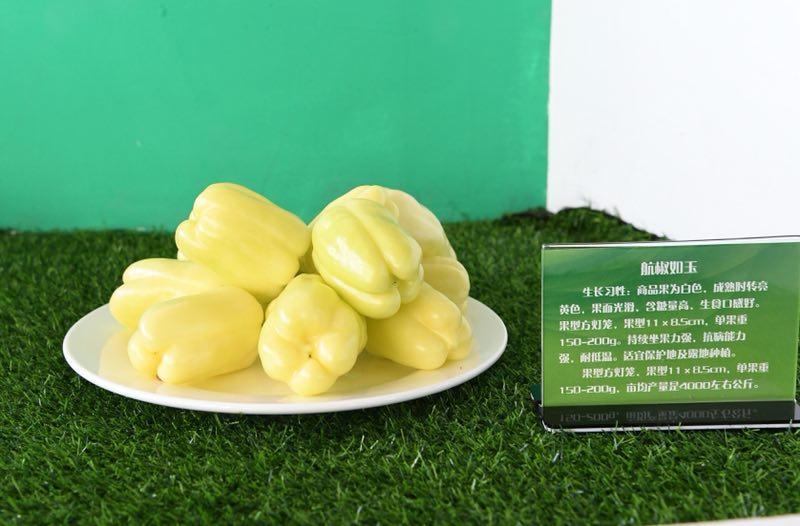 Yellow peppers are on display at the exhibit.  (Photo by Lang Kai)
