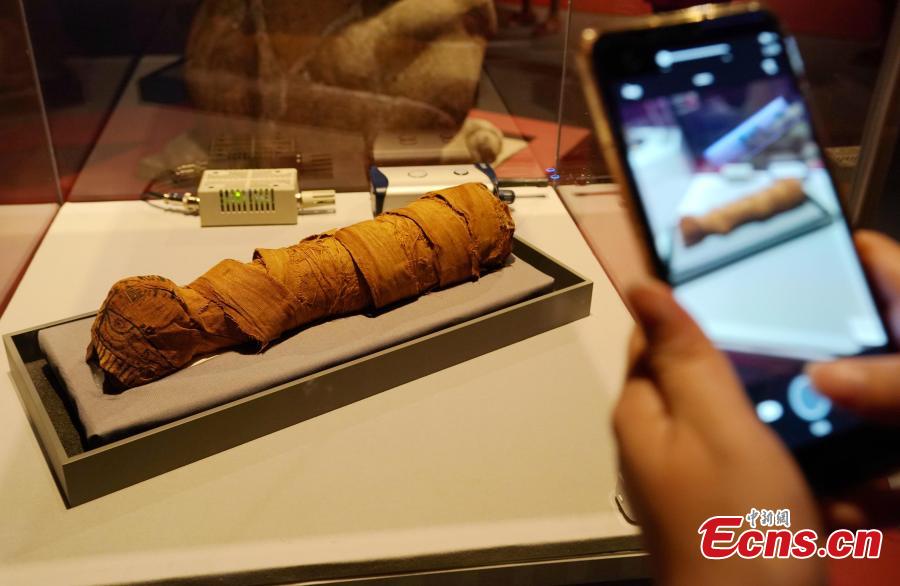 A 2,000-year-old cat mummy on display in the Treasures of the Natural World exhibition in Taipei, July 3, 2018. London’s Natural History Museum presented 227 peculiar exhibits for the exhibition, each showcasing a different aspect of natural history. (Photo: China News Service/Zhang Yu)