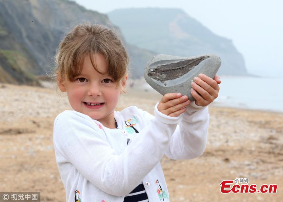 A girl of five discovered a 190million-year-old fish fossil while she and her family were having an ice cream on the Jurassic Coast at Charmouth in Dorset, the U.K. Helena Ashby noticed a small imprint of fish scales protruding from a pebble, and thought there may be more inside. Later a perfectly preserved Pholidophorus was inside the stone. The find was rare because dead fish tend to sink to the bottom of the sea and decompose. (Photo/VCG)