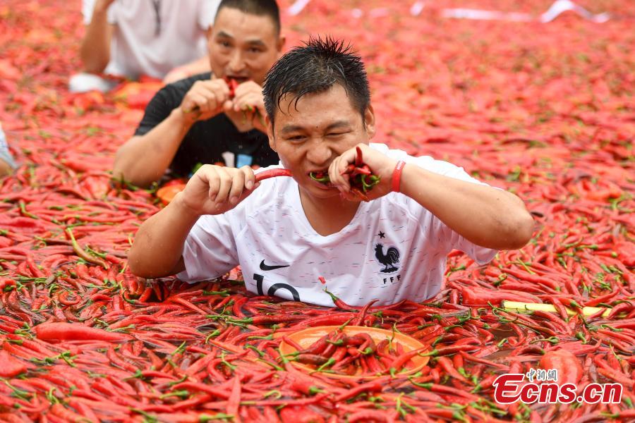 Participants chew chili peppers while immersed in a pool filled with peppers during a contest in Ningxiang City, Central China’s Hunan Province, July 8, 2018. Tang Shuaihui, a local resident, swallowed 50 chili peppers in one minute to win first prize. (Photo: China News Service/Yang Huafeng)