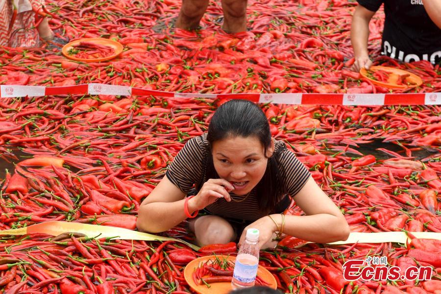 A participant chews chili peppers in a contest in Ningxiang City, Central China’s Hunan Province, July 8, 2018. Tang Shuaihui, a local resident, swallowed 50 chili peppers in one minute to win first prize. (Photo: China News Service/Yang Huafeng)