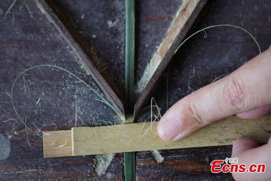 Yang Dujuan prepares bamboo strips for a creation in Sansui County, Southwest China’s Guizhou Province, July 11, 2018. A former migrant worker, Yang began to lead other villagers to make bamboo creations in 2014, trained more than 300 locals, and has now reached annual sales surpassing one million yuan ($150,000). In 2018, she began offering bamboo strips made into QR codes for clients, a creative combination of traditional bamboo weaving and the emerging popularity of codes that smartphone users can scan to access rich information. Her creation priced at 200 yuan for products was popular online. (Photo: China News Service/He Junyi)