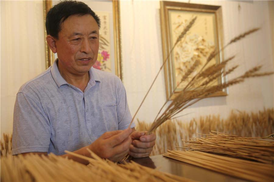 Ding Xisen selects wheat straws for his creation. (Photo/Asianewsphoto)