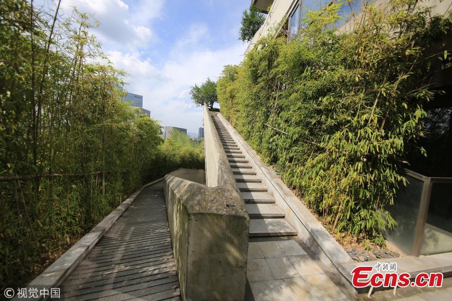 A building covered in green plants in Liangjiang New Area, Southwest China’s Chongqing Municipality. The 12-story building built in 2014 has tens of thousands of plants on the exterior wall, making the towering structure a pleasant green attraction. It’s reported that the building’s design emphasized natural air ventilation and used old rock slabs collected in Chongqing. (Photo/VCG)