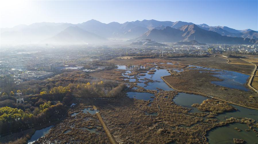 Photo taken on Nov. 23, 2017 shows the Lalu wetland in Lhasa, capital of southwest China\'s Tibet Autonomous Region. (Xinhua/Purbu Zhaxi)