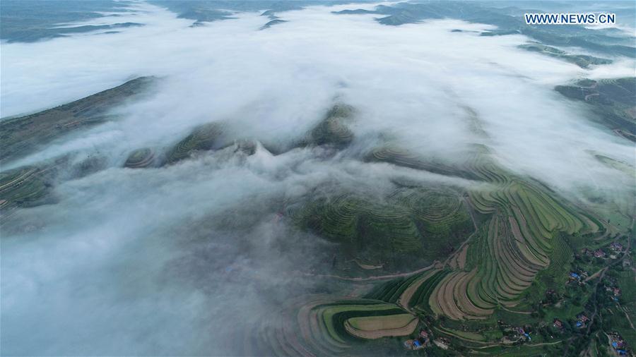 Aerial photo taken on July 17, 2018 shows scenery of Jinjiping terrace park in Pengyuan County, northwest China\'s Ningxia Hui Autonomous Region. (Xinhua/Wang Peng)