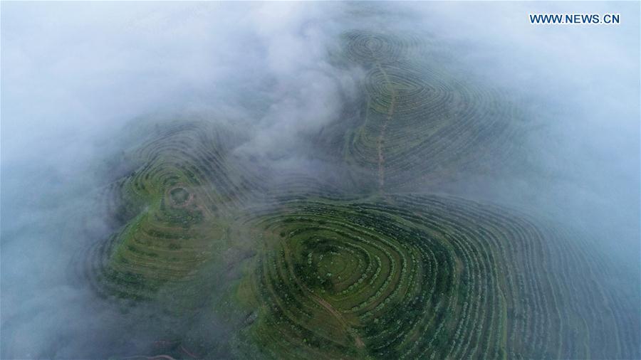 Aerial photo taken on July 17, 2018 shows scenery of Jinjiping terrace park in Pengyuan County, northwest China\'s Ningxia Hui Autonomous Region. (Xinhua/Wang Peng)
