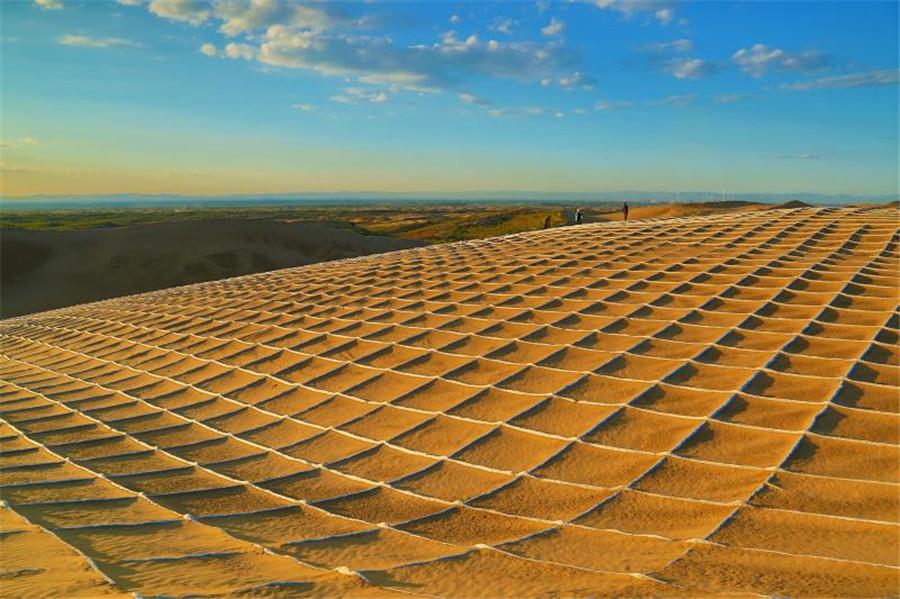 The use of degradable material by sand barrier technology is helping transform hundreds of acres of Inner Mongolia\'s Kubuqi Desert into green landscape in an environment-friendly way.  (Photo provided to chinadaily.com.cn)