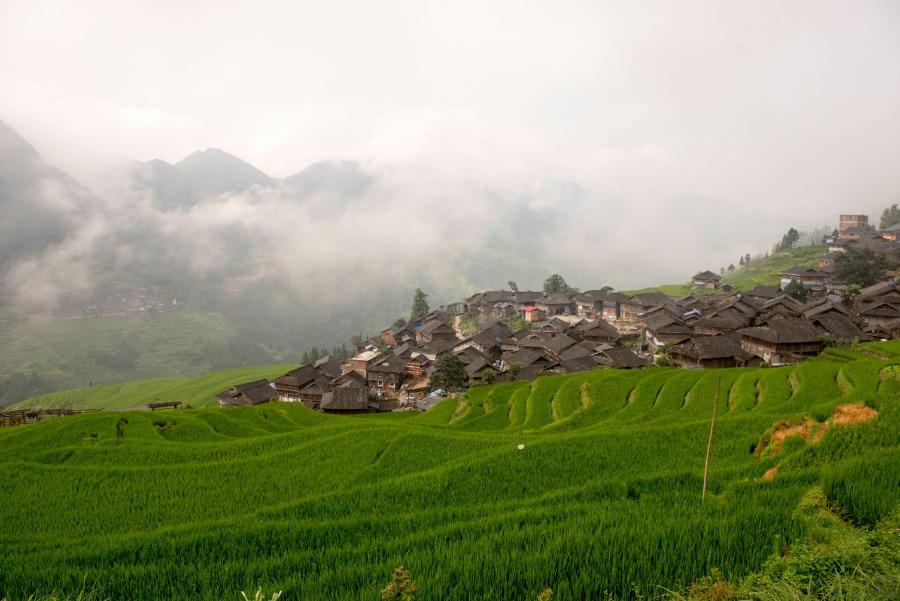 Mist rises above the lushly green terraced fields in Jiabang, Southwest China\'s Guizhou Province, after a heavy summer rain, July 24, 2018. A cluster of village houses stand out in the vast landscape, creating an idyllic and refreshing scene. (Photo/Asianewsphoto)