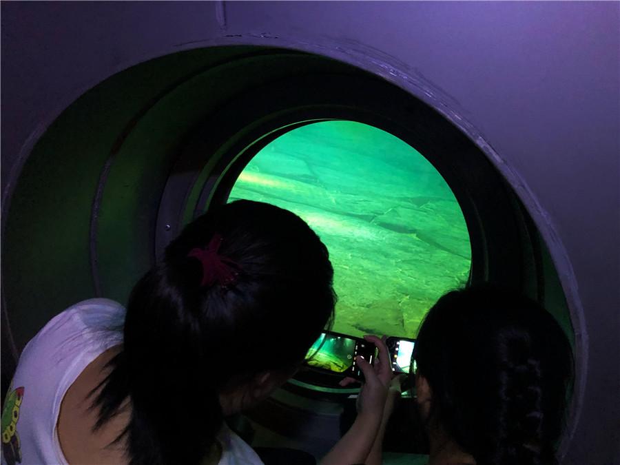 People take photos at the world\'s first underwater museum accessible without diving in Fuling, Southwest China\'s Chongqing, on July 24, 2018. 
(Photo/chinadaily.com.cn)

Take an escalator down to the world\'s first underwater museum accessible without diving in Fuling, Southwest China\'s Chongqing. The pressure-free container preserves White Crane Ridge, a 1,600-meter-long natural ridge which averages 15 m in width and has recorded valuable hydrological information on the Yangtze River since 763 AD.