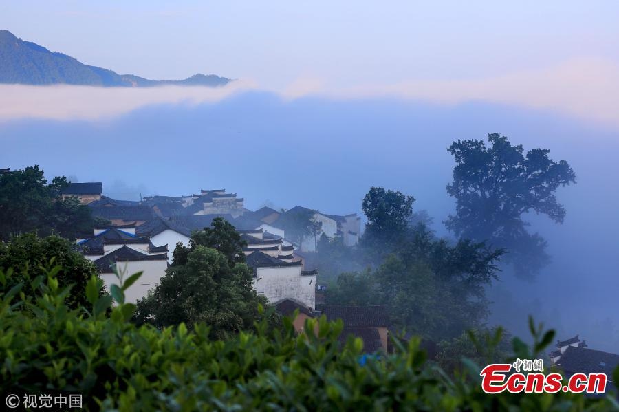 A sea of clouds surrounds Jinlongshan ancient village in Xiuning County, Huangshan City, East China’s Anhui Province, after rain on July 31, 2018. (Photo/VCG)