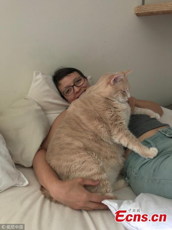 He was adopted in May by Megan Hanneman, 29, (pictured) and Mike Wilson, 35, and has since started a weight-loss program to get fit. The cat\'s personality made him easily lovable, and the couple were drawn to him as soon as they saw him at the shelter. (Photo/VCG)