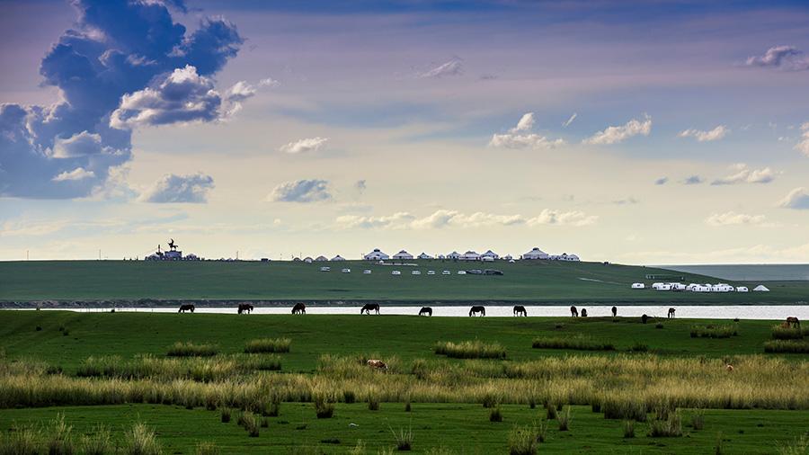 Hulunbuir, North China\'s Inner Mongolia autonomous region, is an ideal destination to escape the summer heat, with average temperatures between 16 ℃ to 21 ℃ these days. (Photo provided to China Daily)