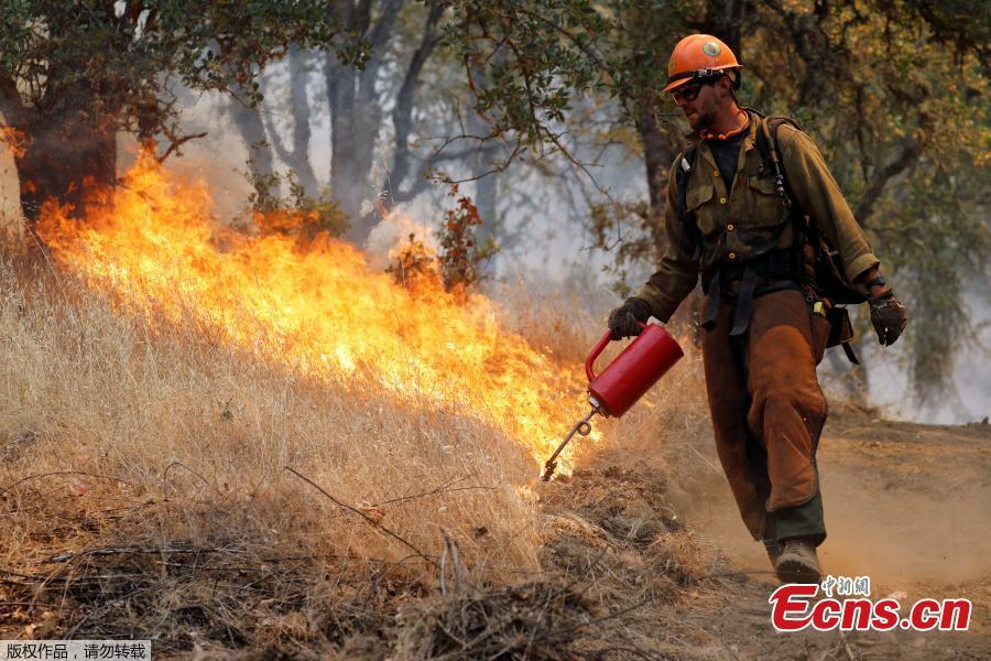 A firefighter lights backfires while battling the Ranch Fire (Mendocino Complex) north of Upper Lake, California, U.S. August 1, 2018. A 70-year-old woman and her two great-grandchildren were among six people killed when a wildfire engulfed entire communities in northern California, officials and family members said. (Photo/Agencies)