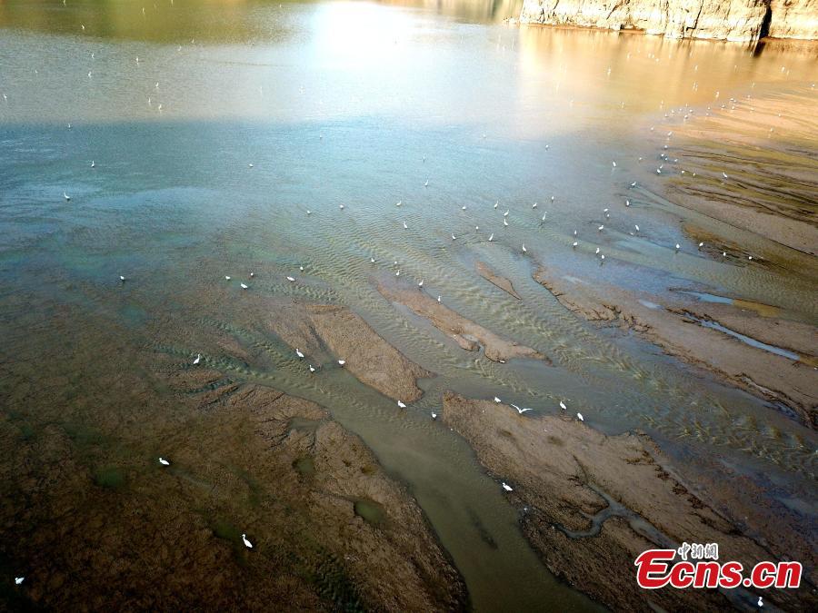 A view of the picturesque Yellow River riverbed near the Xiaolangdi Dam in Jiyuan, Henan Province, Aug. 1, 2018. Falling water and the sand segments in the riverbed form painting-like scenes.(Photo: China News Service/Wang Zhongju)