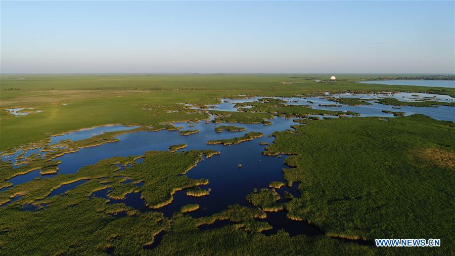 Aerial photo taken on July 31, 2018 shows the scenery of Zhalong National Nature Reserve in Qiqihar, northeast China\'s Heilongjiang Province. Zhalong National Nature Reserve, covering 2,100 square kilometers, was set up in 1979 in a northeast China\'s reed wetland. It provides a major habitat for red-crowned cranes and other wildlife. (Xinhua/Wang Kai)