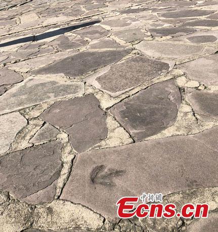 A team led by Xing Lida, a paleontologist with China University of Geosciences (Beijing), has found 250 dinosaur footprints of various sizes in stone slabs in Mountain Resort and its Outlying Temples in Chengde City, Hebei Province. The Mountain Resort (the Qing Dynasty\'s summer palace), built between 1703 and 1792, is a vast complex of palaces and administrative and ceremonial buildings. It was inscribed as a UNESCO World Heritage site in 1994. The stone slabs, used for construction from 1987 to 1990, were mainly from Yanshan Mountains, where dinosaurs lived approximately 150 million years ago. (Photo: China News Service/Wang Bo)