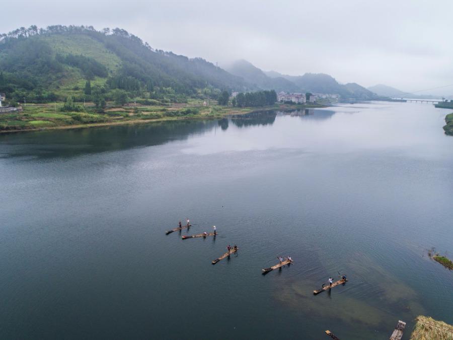 Fishermen cast nets on a bamboo raft on Qiandao Lake, Hangzhou city, Zhejiang Province, Aug. 2, 2018. After a three-month break, fishermen resume a new round of catches in the area, where rural tourism and recreational fishing are highlights of the local industry. [Photo/Xinhua]