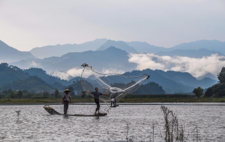 Fishermen cast nets on a bamboo raft on Qiandao Lake, Hangzhou city, Zhejiang Province, Aug. 2, 2018. After a three-month break, fishermen resume a new round of catches in the area, where rural tourism and recreational fishing are highlights of the local industry. (Photo/Xinhua)