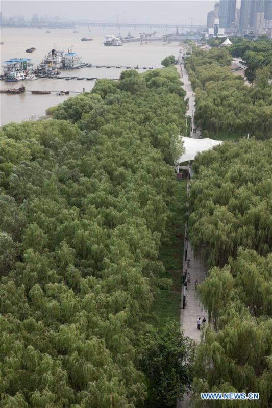 Photo taken on Aug. 4, 2018 shows the scenery of the bank of the Wuhan section of the Yangtze River in Wuhan, capital of central China\'s Hubei Province. (Xinhua/Jin Liwang)