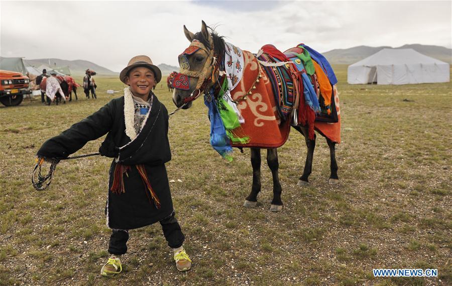 A boy pulls a horse at Rima Village in Gerze County of Ali, southwest China\'s Tibet Autonomous Region, Aug. 6, 2018. Herdsmen ride and race horses to celebrate after harvesting cashmere. (Xinhua/Cai Yunfeng)