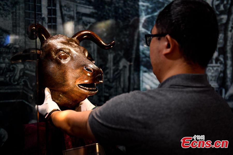 Photo taken on Aug. 8, 2018 shows an exhibition displaying four original relics looted from Beijing\'s Old Summer Palace in 1860s underway in Zhaoqing City, Guangdong Province. The four works are animal heads symbolizing the 12 animal signs of the Chinese zodiac, including pig, ox, monkey and tiger, which were originally water outlets, part of the fountain in the Old Summer Palace. Poly became a household name by acquiring the four animal heads from foreign auction houses, the centerpiece in Poly Art Museum in Beijing. (Photo: China News Service/Zhao Jimin)