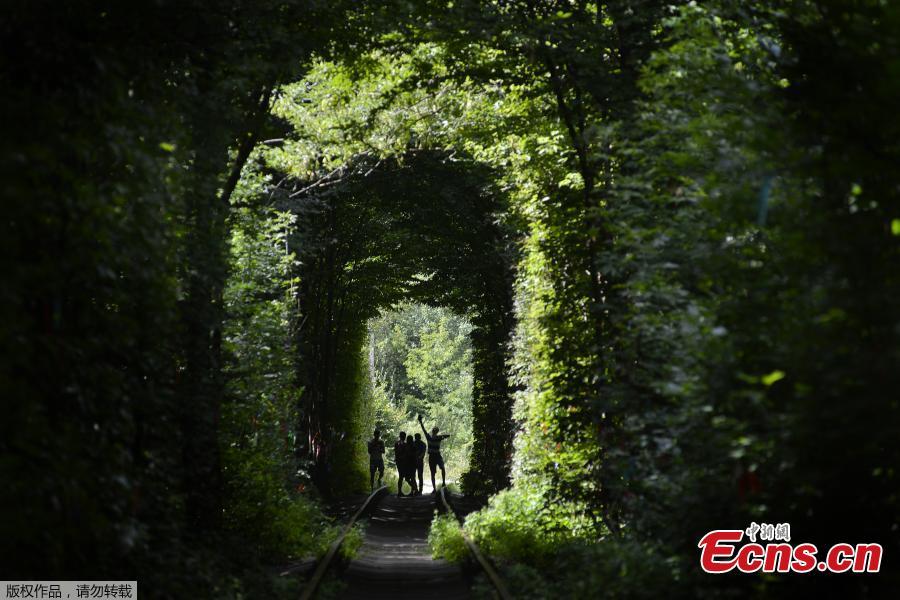 People walk along former railway tracks surrounded by arches of intertwined trees in the so-called \'Tunnel of Love\', near the Ukrainian village of Klevan, Rivno region, Aug. 6, 2018. The tunnel of about five kilometers in length is a botanical phenomenon, which became a cult place for tourists and couples in love. The tourist legend says that wishes of couples in love will come true, if the couple passes through the tunnel. (Photo/Agencies)