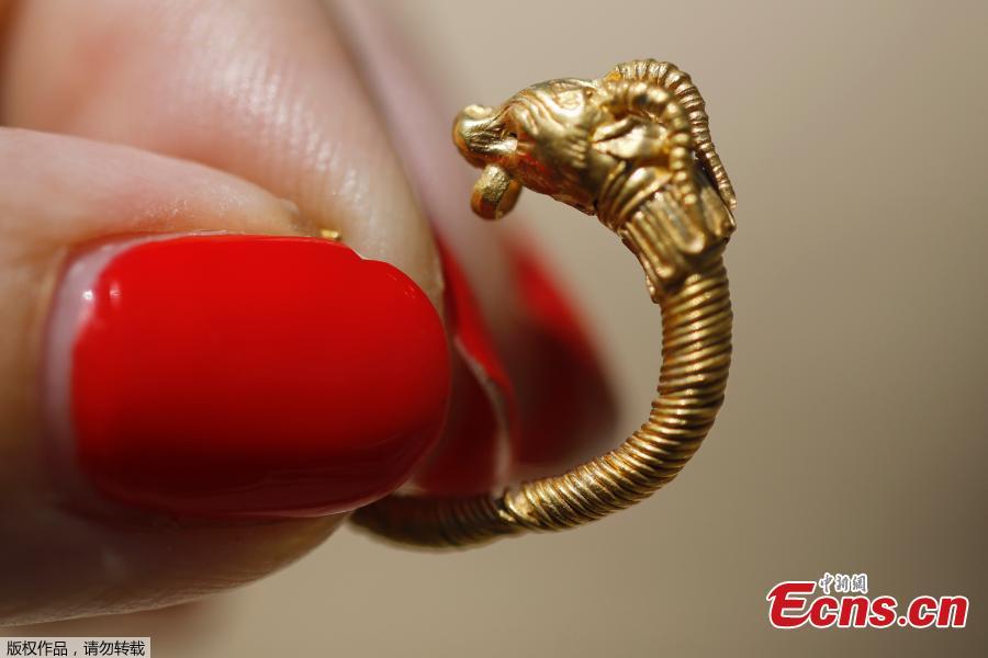 An Israeli archeologist shows a rare golden earring believed to be more than 2,000 years-old, discovered at the archeological site of the City of David in East Jerusalem near the walls of the old city on 8 August 2018. A Hellenistic-era golden earring, featuring ornamentation of an horned animal, was discovered in the Givati Parking Lot in the City of David National Park encircling the Old City walls. The discovery was made during archeological digs carried out by the Antiquities Authority and Tel Aviv University. The spectacular gold earring, shaped like a horned animal, dates back to the second or third century BCE, during the Hellenistic period. (Photo/Agencies)