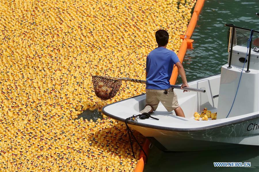 <?php echo strip_tags(addslashes(A volunteer recovers rubber ducks from the Chicago River following the 13th Annual Chicago Ducky Derby in Chicago, the United States, Aug. 9, 2018. Derby organizers dropped about 60,000 rubber ducks into the Chicago river on Thursday to start the Rubber Ducky Derby this year, which helps raise money for Special Olympics Illinois. (Xinhua/Wang Ping))) ?>