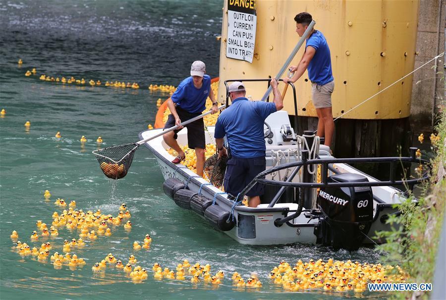 <?php echo strip_tags(addslashes(Volunteers recover rubber ducks from the Chicago River following the 13th Annual Chicago Ducky Derby in Chicago, the United States, Aug. 9, 2018. Derby organizers dropped about 60,000 rubber ducks into the Chicago river on Thursday to start the Rubber Ducky Derby this year, which helps raise money for Special Olympics Illinois. (Xinhua/Wang Ping))) ?>