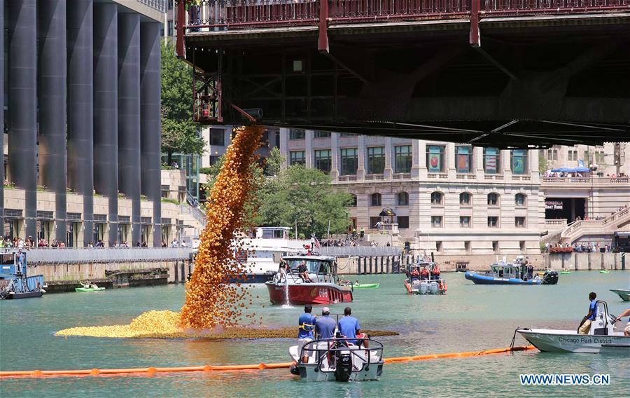 <?php echo strip_tags(addslashes(Rubber ducks are dropped into the Chicago River during the 13th Annual Chicago Ducky Derby in Chicago, the United States, Aug. 9, 2018. Derby organizers dropped about 60,000 rubber ducks into the Chicago river on Thursday to start the Rubber Ducky Derby this year, which helps raise money for Special Olympics Illinois. (Xinhua/Wang Ping))) ?>
