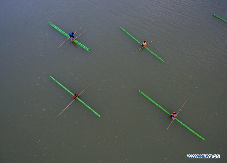 Middle school students practice single bamboo drifting on water in Rongjiang County, southwest China\'s Guizhou Province, Aug. 11, 2018. Single bamboo drifting originated in China\'s Guizhou and requires a person to stand or sit on a single piece of bamboo while performing graceful movements. (Xinhua/Wang Bingzhen)