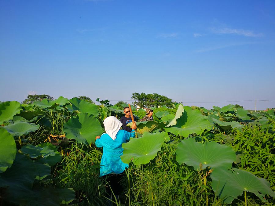 (Photo by Zhou Haiyan/for China Daily)