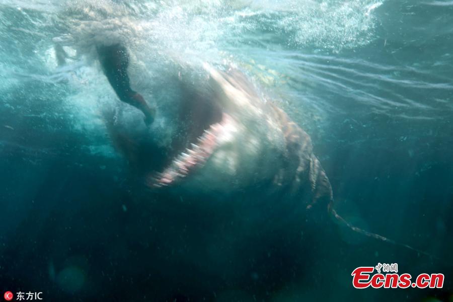 A scene from The Meg, a 2018 science fiction thriller film directed by Jon Turteltaub. (Photo/IC)