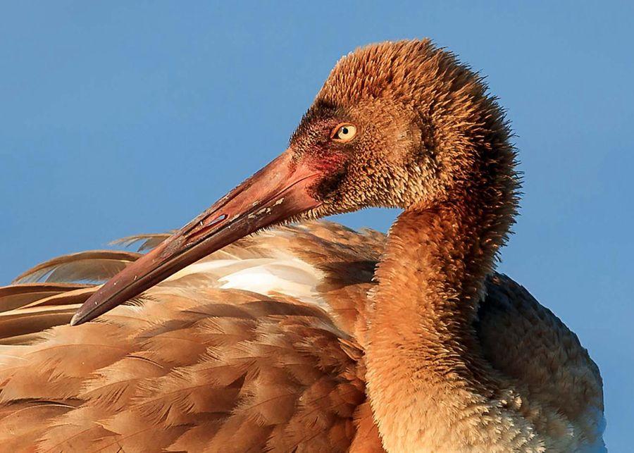 (Photo by Zhou Haiyan/for China Daily)