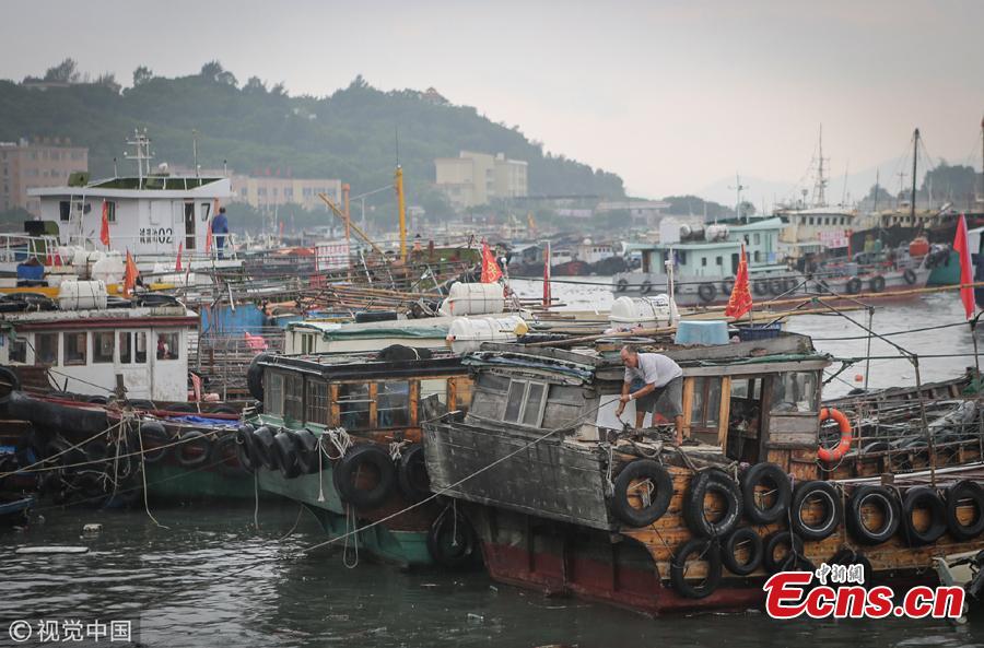 Fishing vessels anchor at a port ahead of Tropical Storm Bebinca in Yangjiang City, South China\'s Guangdong Province, Aug. 14, 2018. Locals fastened the boats to prepare for the strong winds expected with the storm. (Photo/VCG)