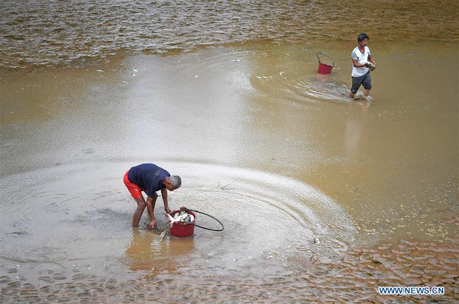 Villagers catch fish in a drying-up pond in Yinshan Village of Liuli Township in Jinxi County, east China\'s Jiangxi Province, Aug. 14, 2018. Some parts of Jiangxi Province have suffered from drought for days due to the persistent summer heat and lack of rainfall. (Xinhua/Wan Xiang)