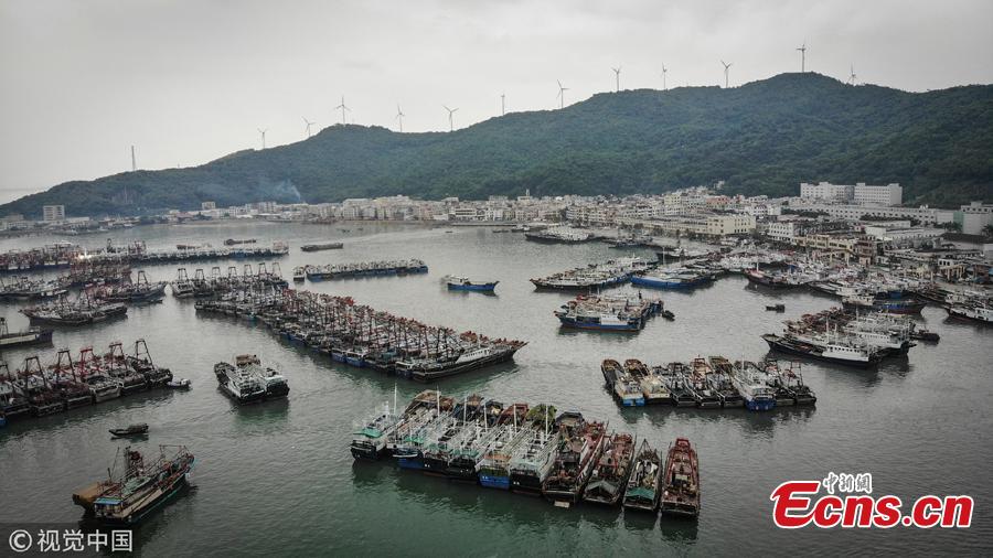 Fishing vessels anchor at a port ahead of Tropical Storm Bebinca in Yangjiang City, South China\'s Guangdong Province, Aug. 14, 2018. Locals fastened the boats to prepare for the strong winds expected with the storm. (Photo/VCG)