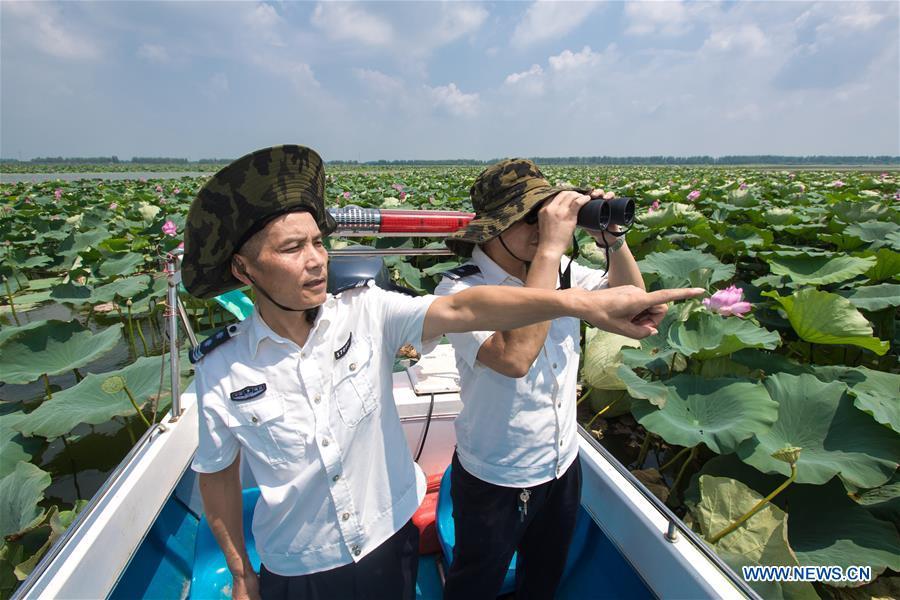 Staff members of the Xiaogang lake-patroller station observe the Honghu Lake in Honghu City, central China\'s Hubei Province, Aug. 15, 2018. Honghu Lake, Hubei Province\'s biggest lake, is \