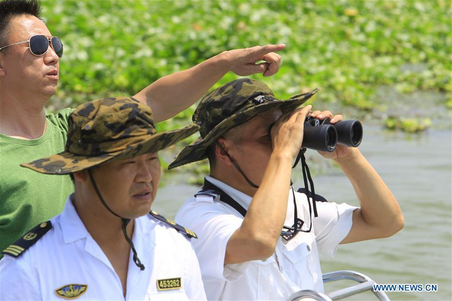 Staff members of the Xiaogang lake-patroller station observe the Honghu Lake in Honghu City, central China\'s Hubei Province, Aug. 15, 2018. Honghu Lake, Hubei Province\'s biggest lake, is \