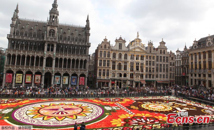 <?php echo strip_tags(addslashes(A 1,800 square meters flower carpet on the theme 