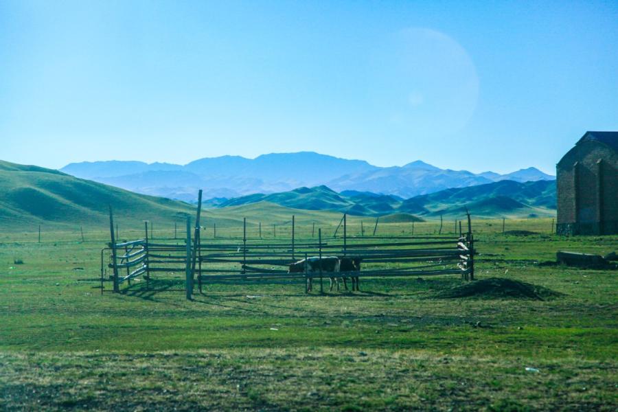 Scenery along the Tacheng section of S318 provincial road. (Photo/chinadaily.com.cn)