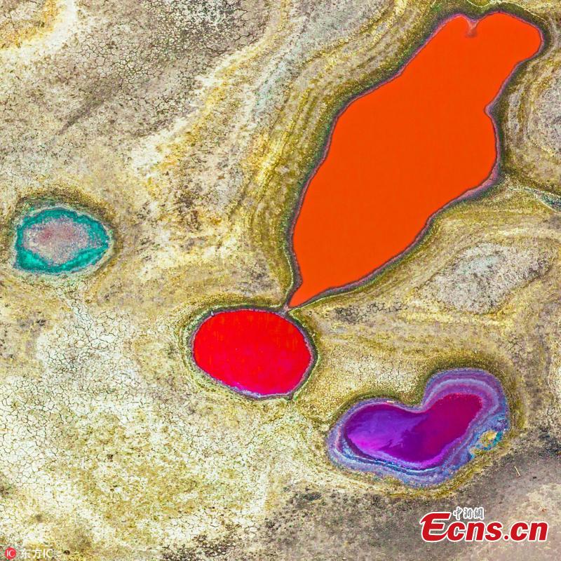 <?php echo strip_tags(addslashes(File photo shows a heart-shaped pond.  (Photo/IC))) ?>