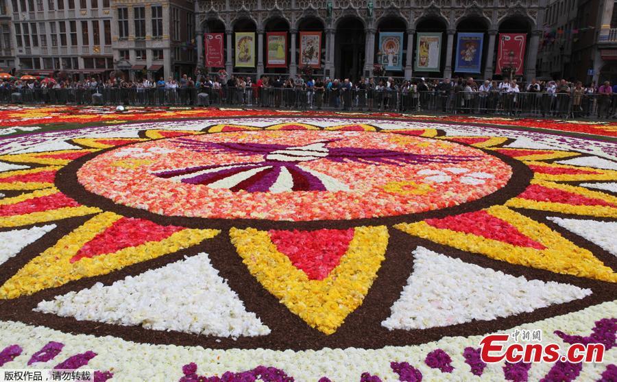 <?php echo strip_tags(addslashes(A 1,800 square meters flower carpet on the theme 