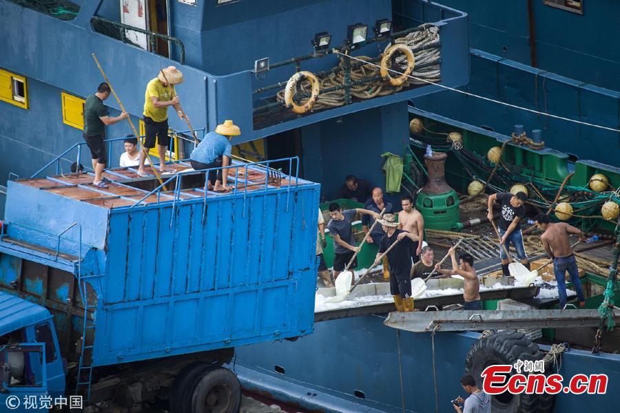 A ceremony to mark the end of a fishing ban, imposed to help increase fish stocks, at a port in Shishi City, Fujian Province, Aug. 16, 2018. Shishi boasts a large national fishing port, and a majority of the city’s ships go fishing near the Diaoyu Islands. (Photo/VCG)